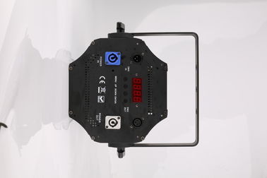 Disco allumant le pair extérieur d'intérieur 19X15W RGBW 4 de LED dans 1 pair mené de bourdonnement
