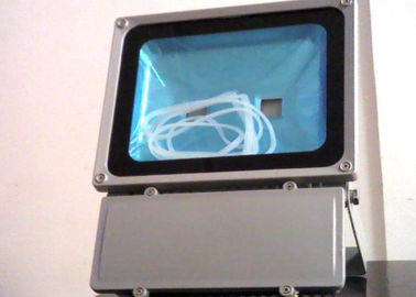 Éclat de dîner de lumières d'inondation d'étape du moulage d'aluminium 100W LED pour épouser/partie