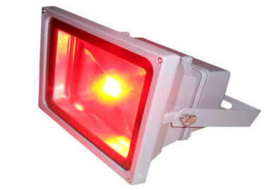 Lumières d'inondation extérieures d'étape de la puissance élevée LED/IP65 50W RVB ou lumière d'inondation blanche de LED